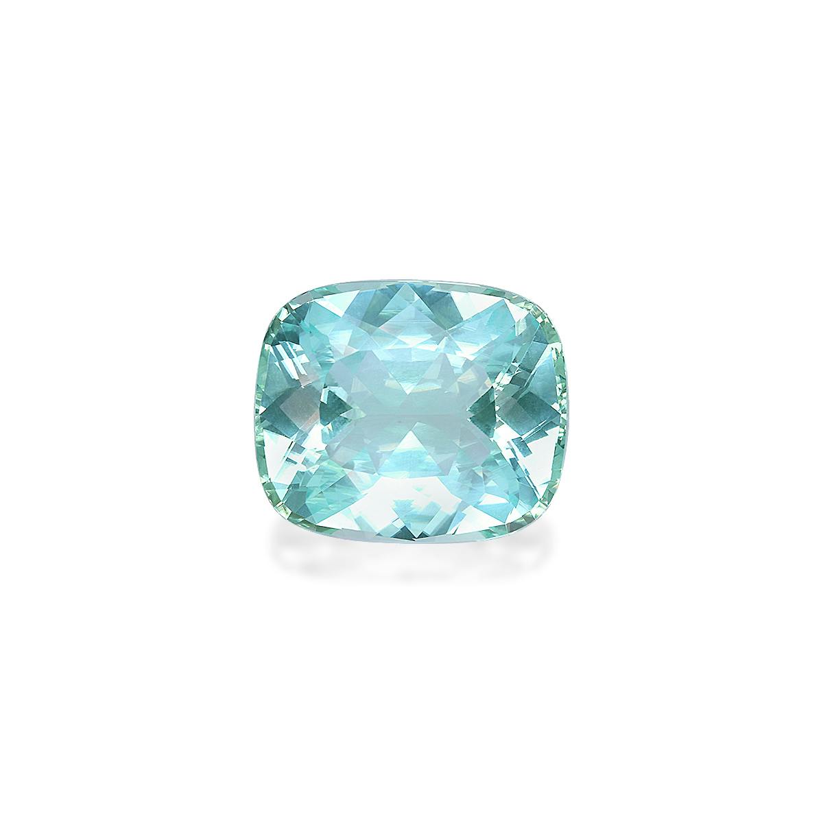 Paraiba Tourmaline 42.15 ct